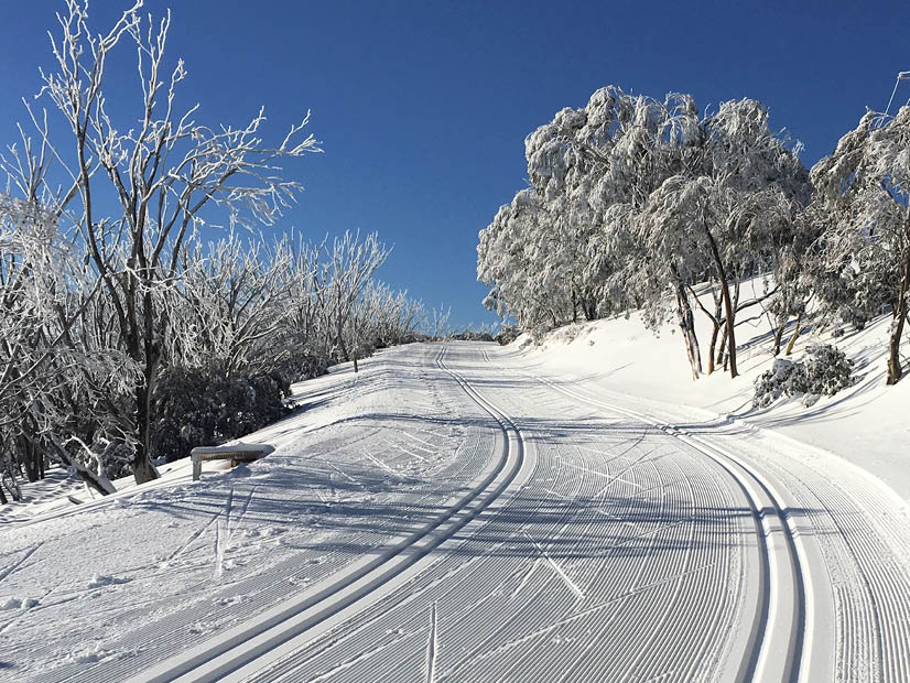 Freshly groomed snow at Falls Creek Cross Country near Windy Corner